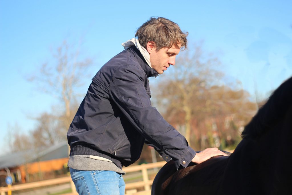 Remko Sweere aait een zwart paard in een buitenbak bij paardenstal.